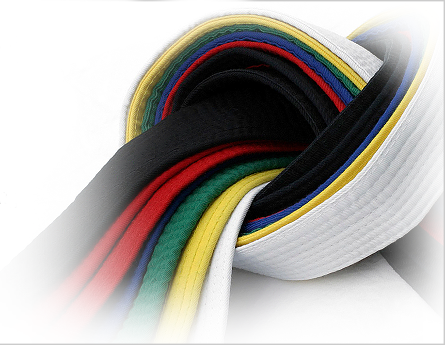SIF education syllabus and belts system