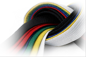 SIF education syllabus and belts system